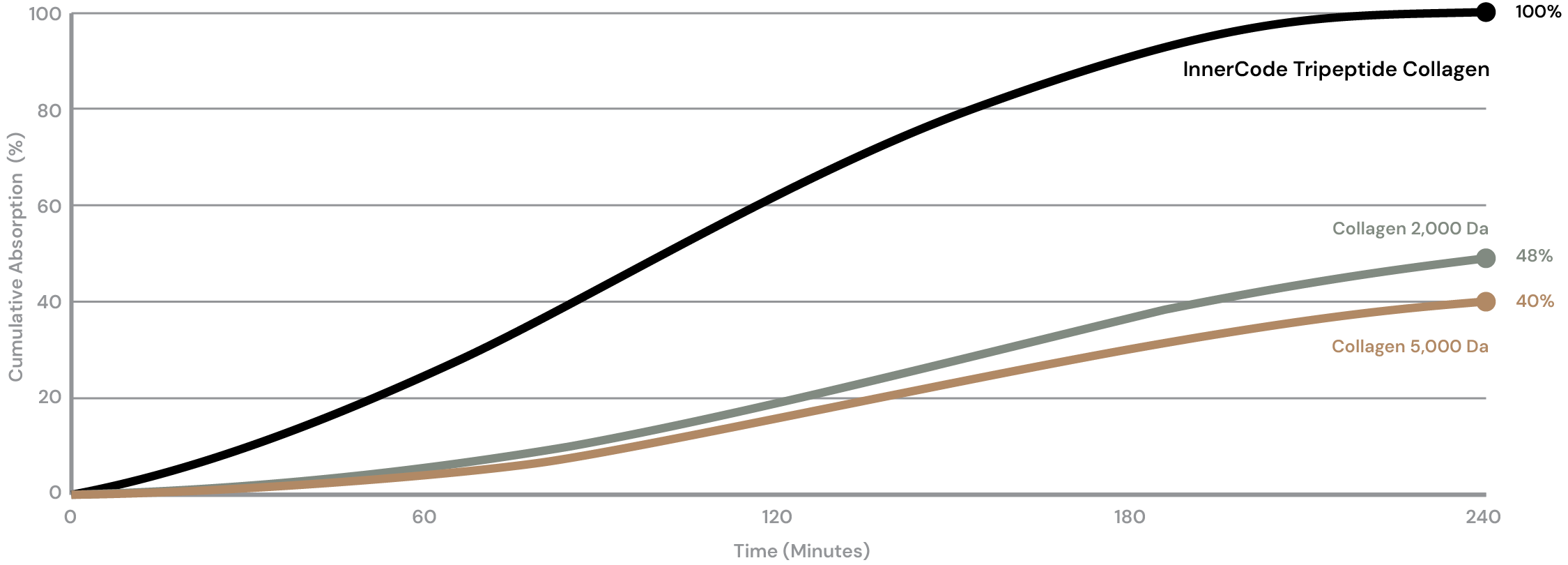 Bioavailability – Maximised Absorption chart